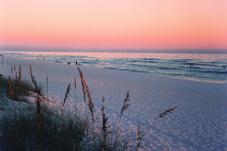 St Pete Beach Weddings Locations Clearwater